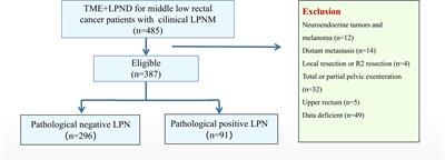 Effective dissecting range and prognostic significance of lateral pelvic lymph node dissection for middle-low rectal cancer patients with lateral pelvic lymph node metastasis: Results of a large multicenter lateral node collaborative group in China